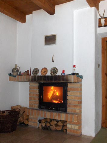 Fireplace in living room